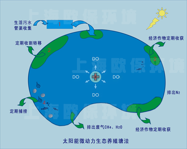 太阳能微动力生态养殖塘法 太阳能微动力生态养殖塘法