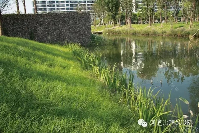 自然岸线-河道生态治理 自然岸线-河道生态治理