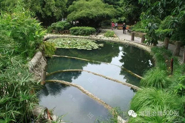 植物塘床系统 植物塘床系统