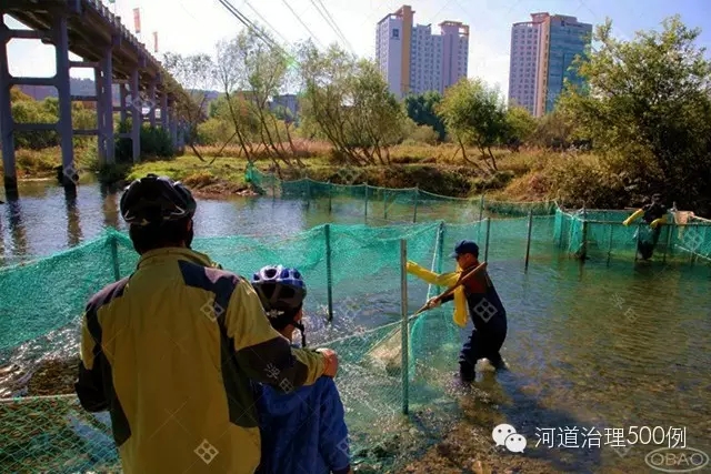 太和江如今繁衍着大马哈鱼、香鱼、水獭等 太和江如今繁衍着大马哈鱼、香鱼、水獭等