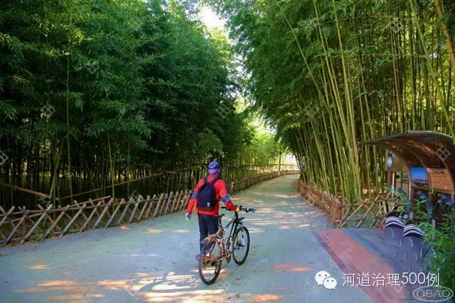 太和江旁十里竹林成为市民休闲绝佳去处 太和江旁十里竹林成为市民休闲绝佳去处
