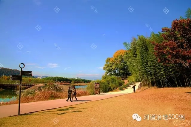 太和江公园 太和江公园