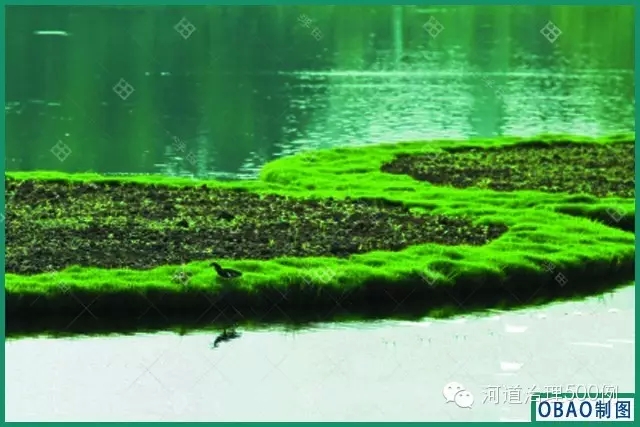 浮田型生态浮岛 浮田型生态浮岛