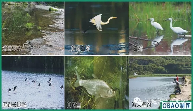 丹东河 丹东河