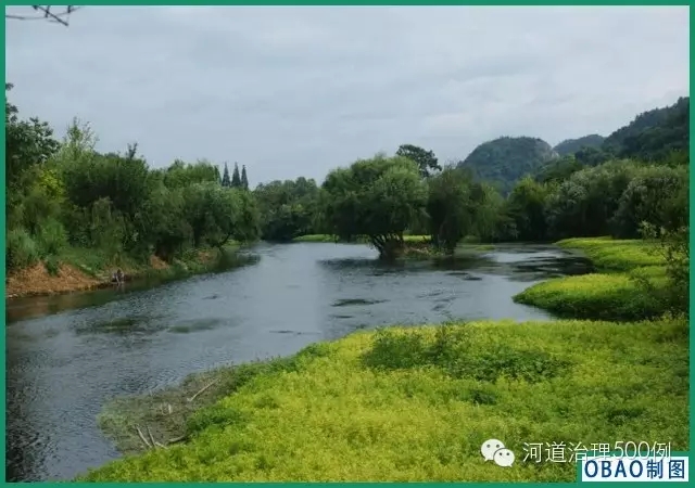 希望绿意盎然的花溪河能再现 希望绿意盎然的花溪河能再现
