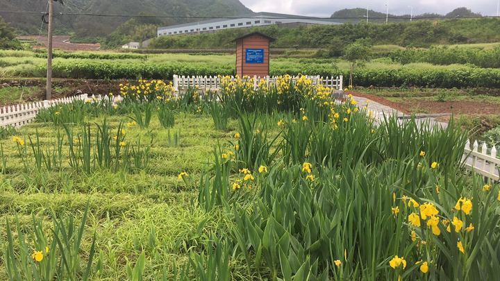 河道治理显成效 候鸟云集越寒冬 河道治理显成效 候鸟云集越寒冬