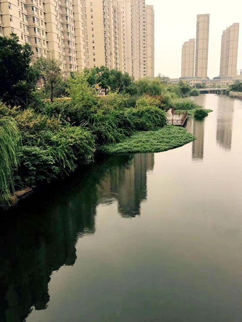 治理河道污水!北京通州台湖镇有大动作 治理河道污水!北京通州台湖镇有大动作