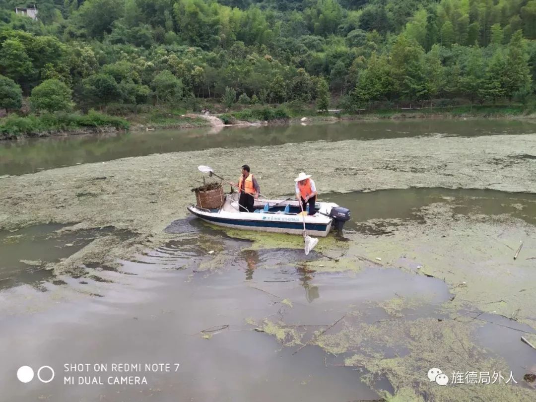 人工打捞蓝藻白沙水库 人工打捞蓝藻白沙水库