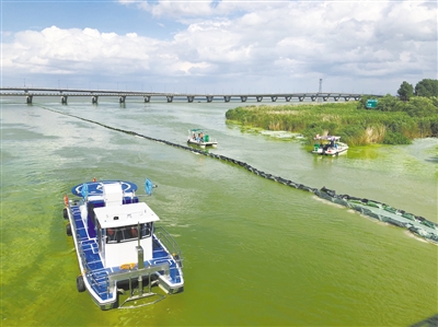 江浙防治太湖蓝藻水华实行信息共享 协同治理 监测数据及时共享 防治应对有备无患 江浙防治太湖蓝藻水华实行信息共享 协同治理 监测数据及时共享 防治应对有备无患