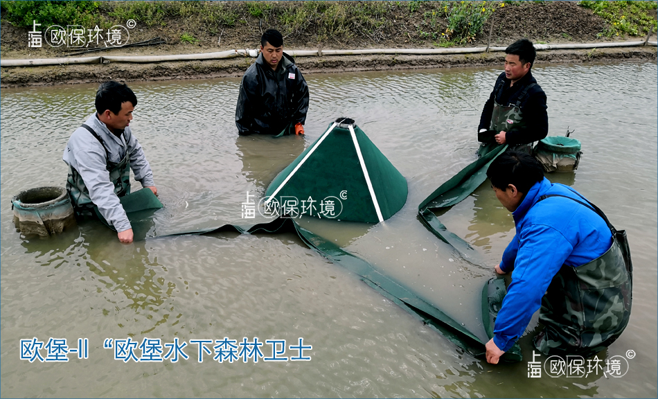 欧堡-II&ldquo;欧堡水下森林卫士&rdquo;，适合坑塘净化，提高水体透明度,另外具有良好的脱氮除磷效果，对于采用&ldquo;水下森林&rdquo;的净水方式，是一道很好的安全防护线。