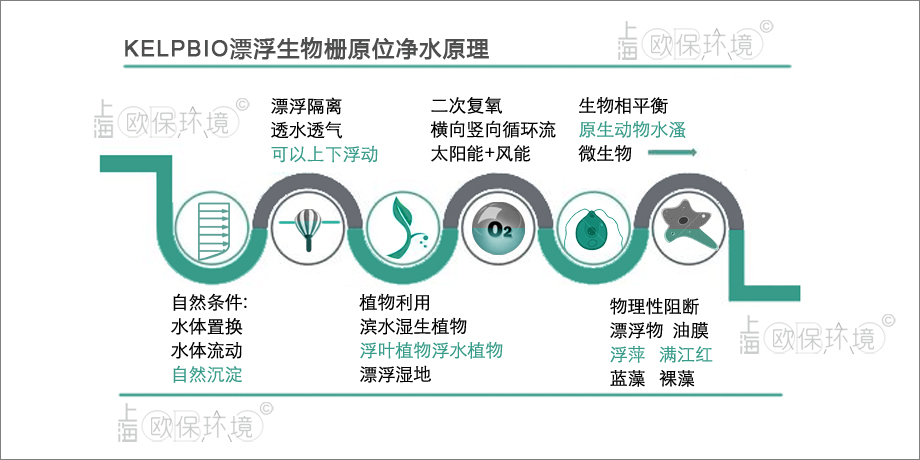 KELPBIO漂浮生物栅净水原理 KELPBIO漂浮生物栅净水原理