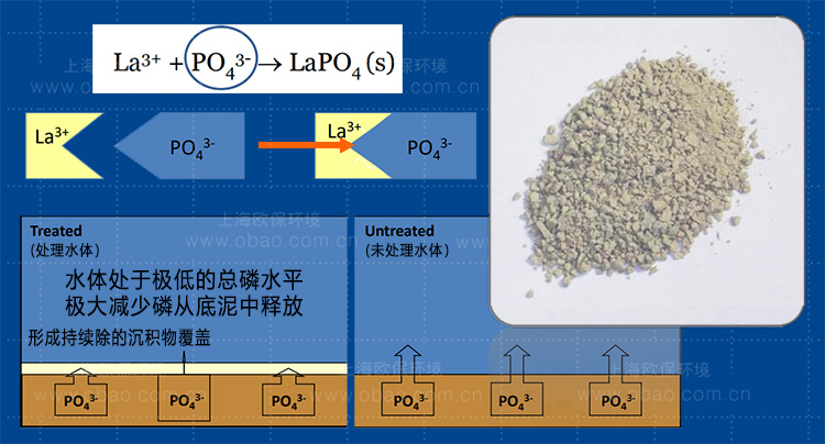 锁磷剂 锁磷剂