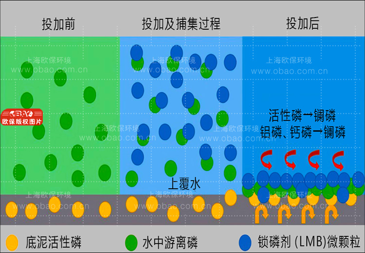 泥水共治 泥水共治