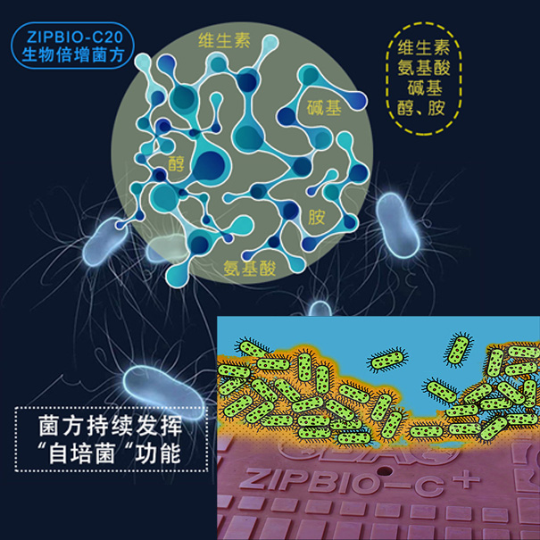 蓝藻治理-投加微生物 蓝藻治理-投加微生物