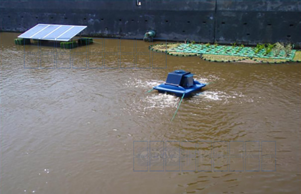 锁磷剂投放前,河水中浮游大量藻类,河水褐色 锁磷剂投放前,河水中浮游大量藻类,河水褐色