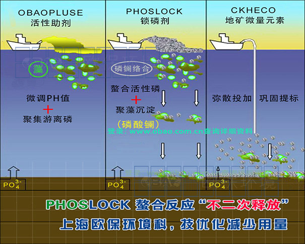 锁磷剂净水原理 锁磷剂净水原理