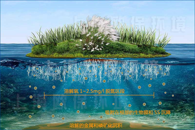 浮田型浮动湿地净水原理 浮田型浮动湿地净水原理